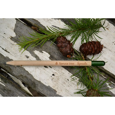 Sprout-Bleistift mit Baumsamen - Bild 3